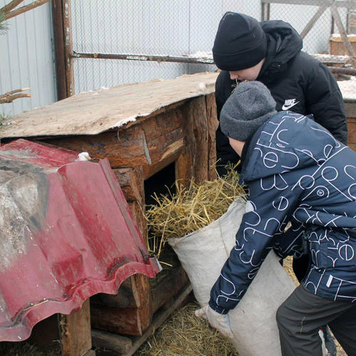 Юные волонтеры в приюте «Мокрый нос»