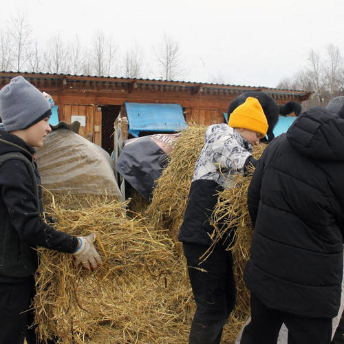 Юные волонтеры в приюте «Мокрый нос»