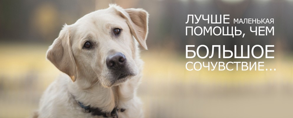 Благотворительная акция «Доброе сердце»